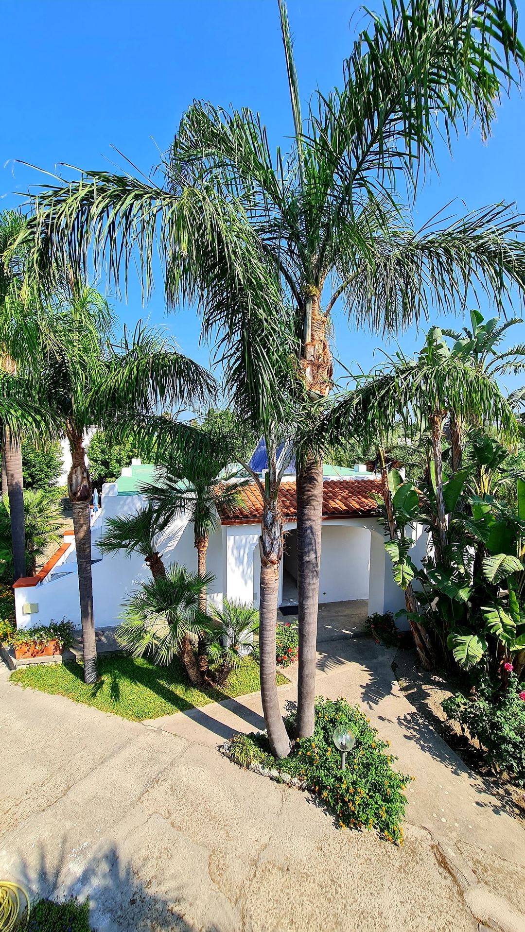The hotel's white bungalow with terracotta roof surrounded by mature palm trees and lush tropical landscaping under clear blue sky.